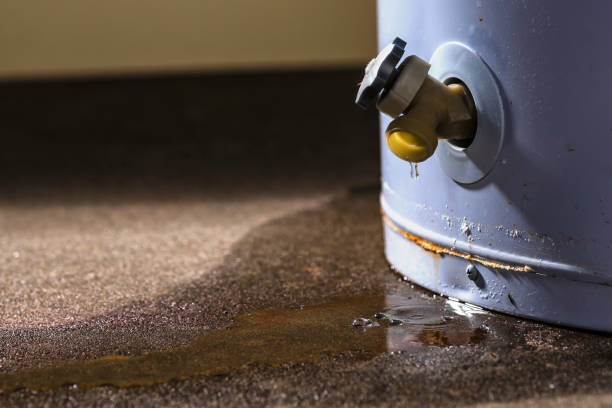 Local water damage restoration in MI