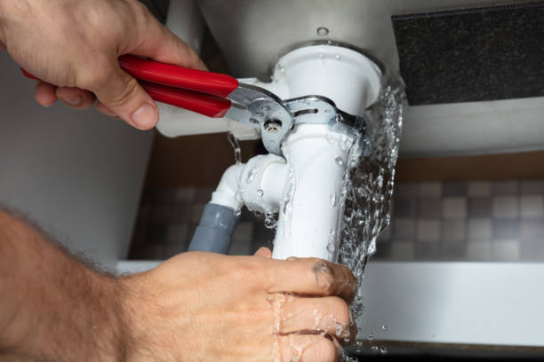 Best Carpet water damage restoration  in Rockwood, MI