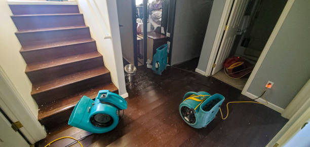 Carpet water damage restoration in MI