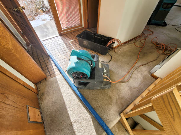 Water damage restoration insurance claims in MI