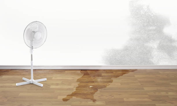  Rockwood, MI Water damage restoration Pros