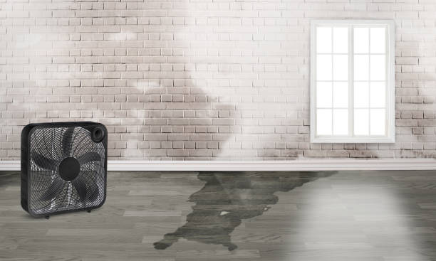  Rockwood, MI Water damage restoration Pros