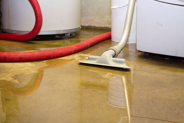 Best Commercial water damage restoration  in Rockwood, MI