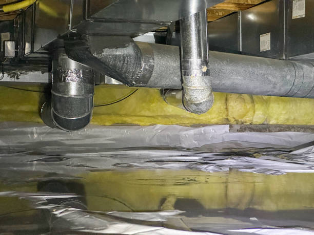 Best Flood restoration services  in Rockwood, MI