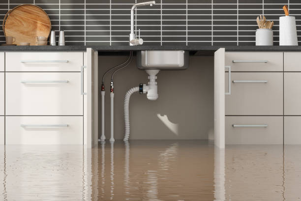 Best Fire Damage Restoration  in Rockwood, MI