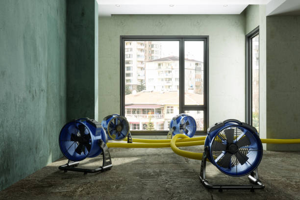 Best Water damage restoration near me  in Rockwood, MI